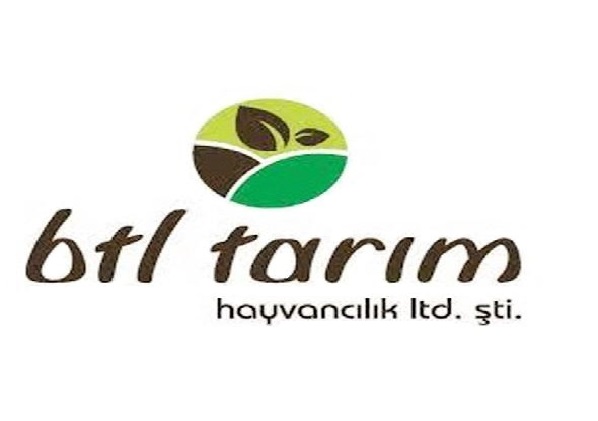 Aksiyon Patent referans görseli